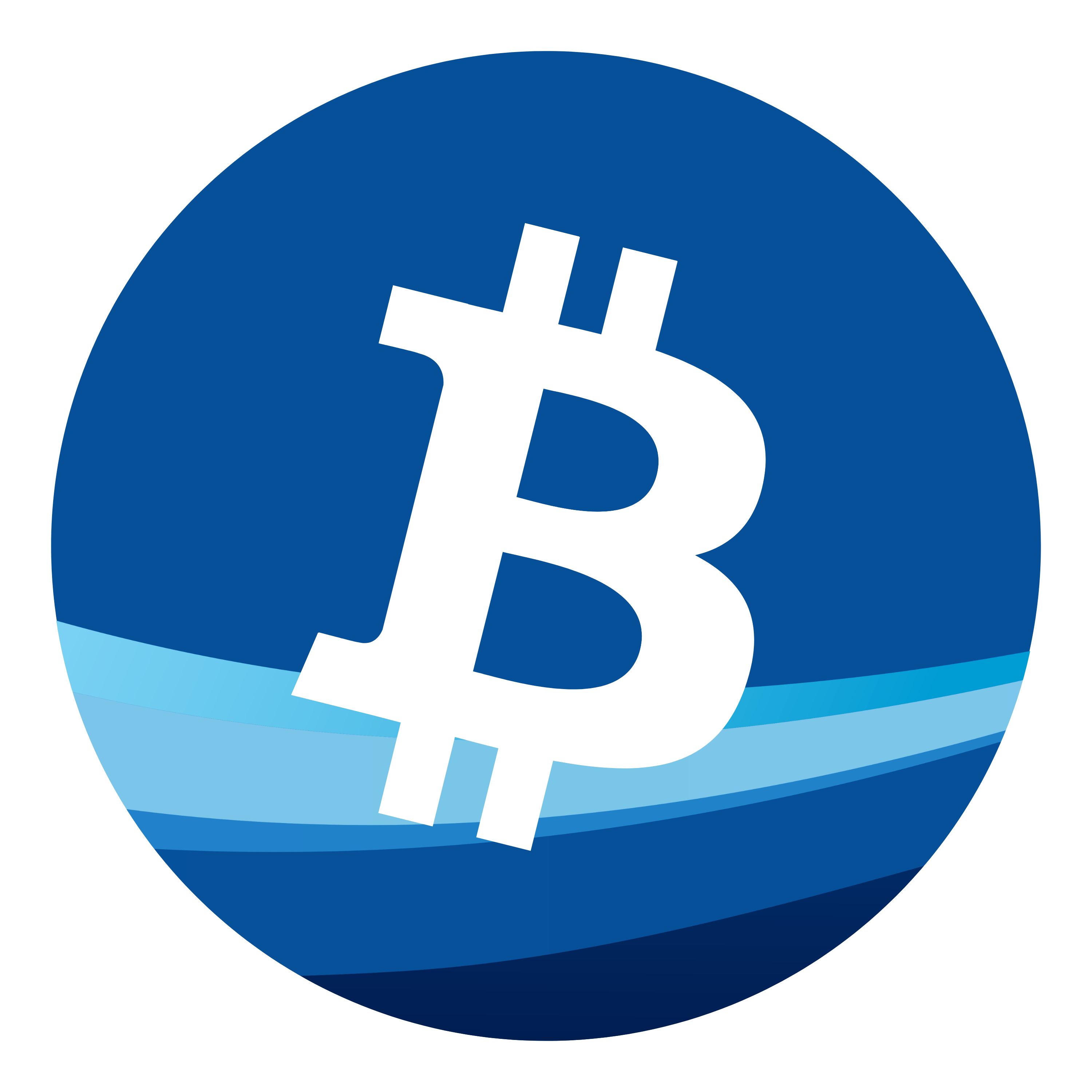 BTCPay Server